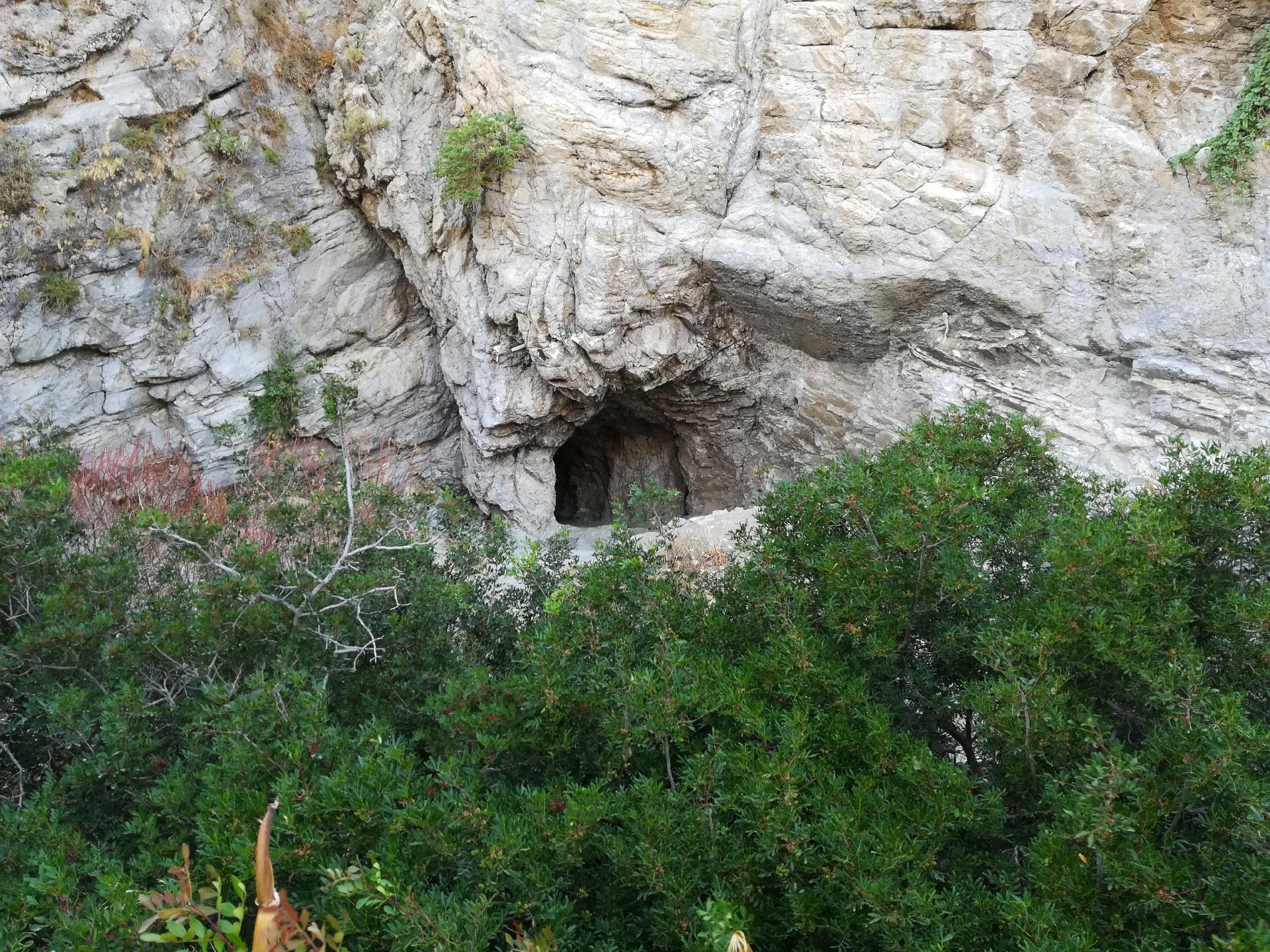 particolare di una grotta all'internpo della Riserva Naturale dei laghetti di Marinello, Tindari, Sicilia